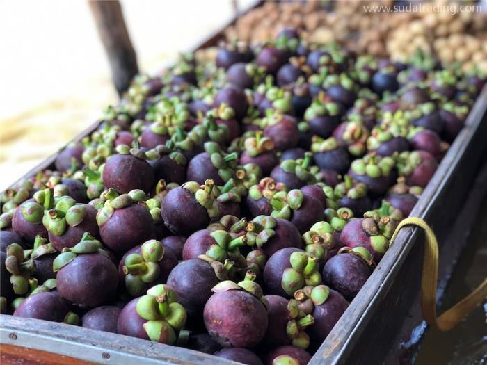 印度尼西亞進(jìn)口山竹報(bào)關(guān)的關(guān)稅以及清關(guān)流程