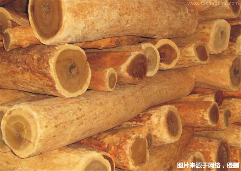 進口印度檀香木報關的流程瀕危木材報關代理資料