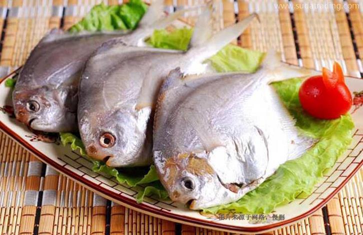 西班牙水產(chǎn)品進口報關資料流程-全國10家分公司