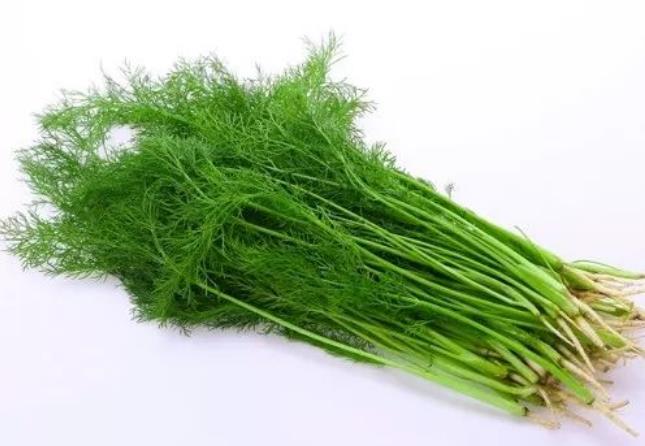 茴香進口報關清關流程