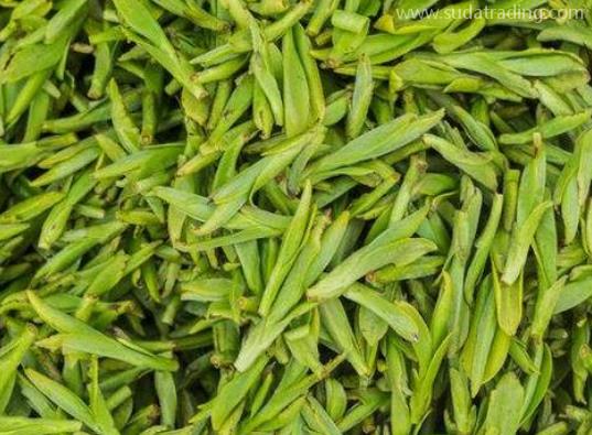 茶產品進口規范申報流程及步驟