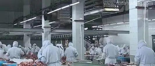 【進口知識】進口俄羅斯牛肉檢驗檢疫和衛生要求